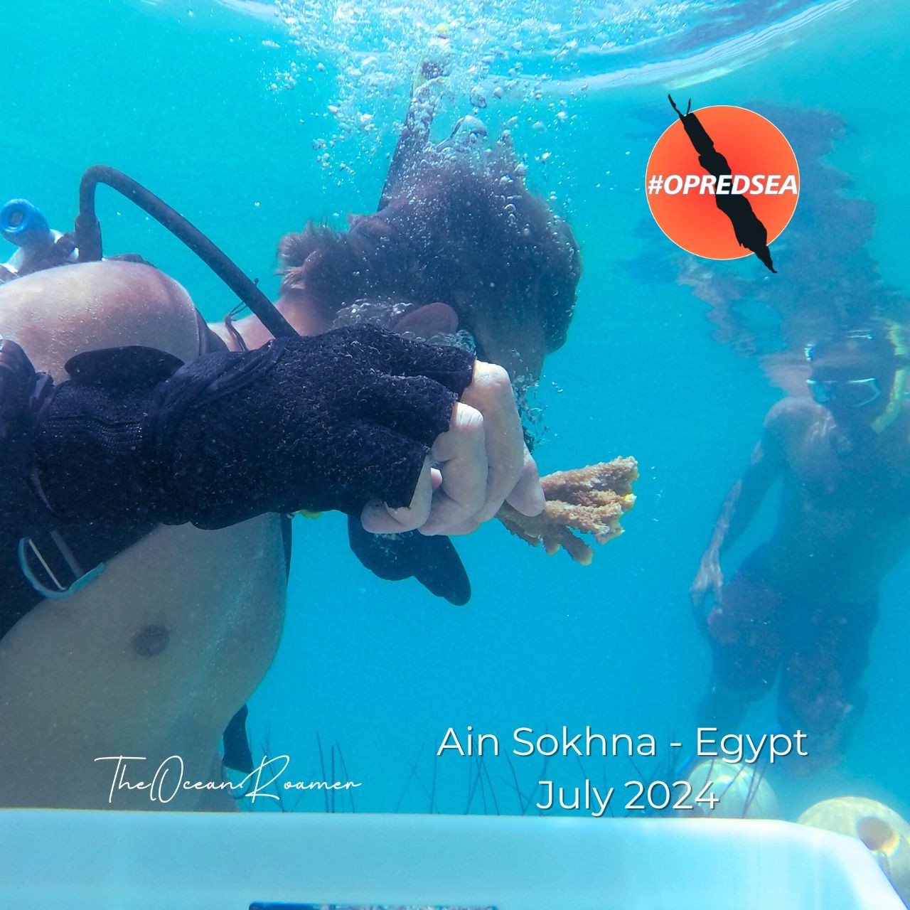 I.A.D.P Volunteers installing coral nurser