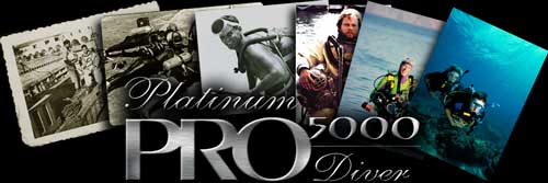 Platinum Pro 5000 recognition artwork